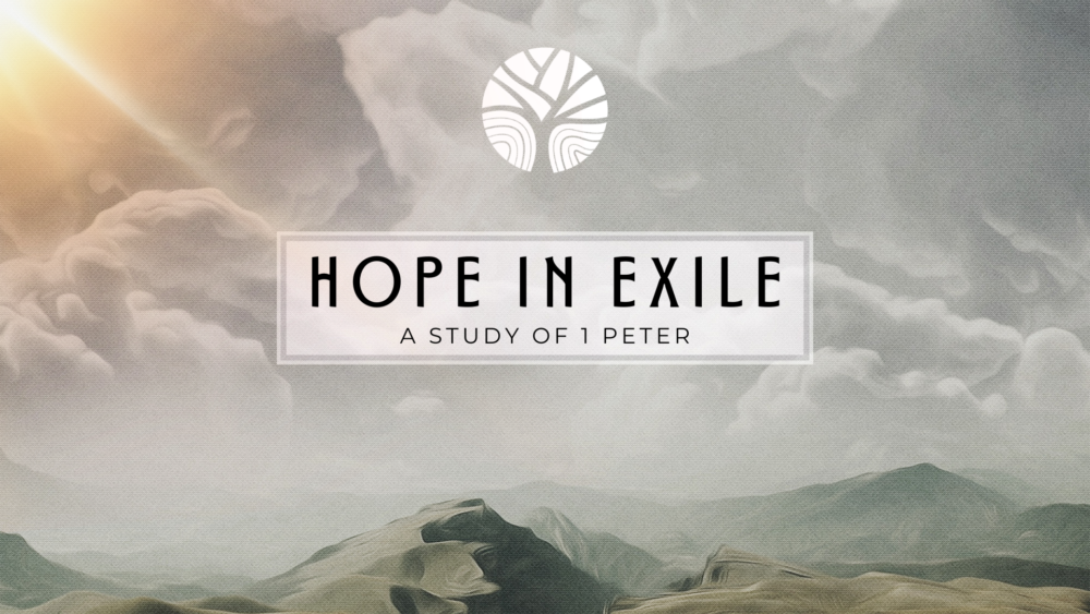 Hope In Exile