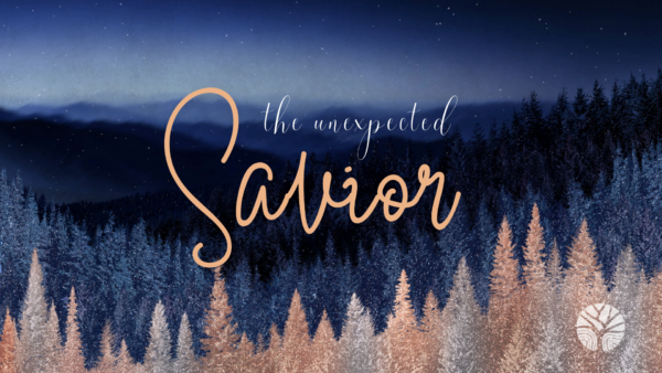 The Unexpected Savior's Unexpected Values Image